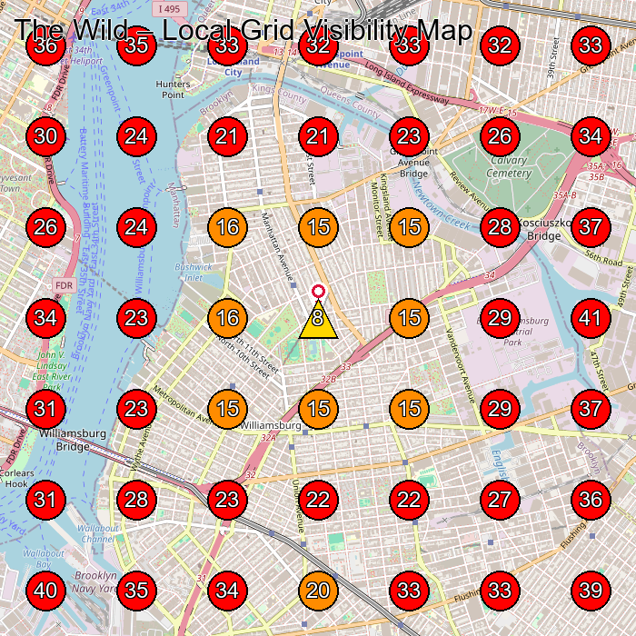 The Wild GeoGrid visibility map for Baby Store in Brooklyn