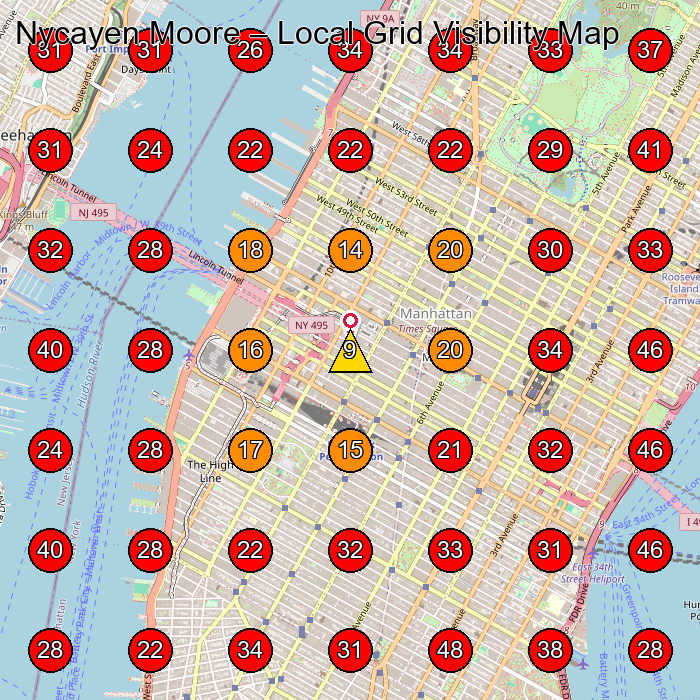 Nycayen Moore GeoGrid visibility map for Beauty Salon in New York