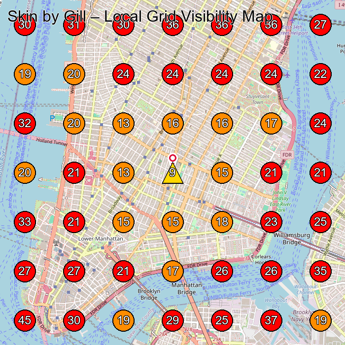 Skin by Gill GeoGrid visibility map for Facial Spa in New York