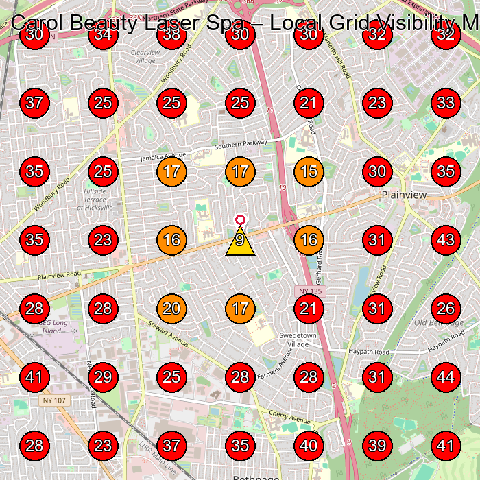 Carol Beauty Laser Spa GeoGrid visibility map for Eyelash Salon in Woodbury