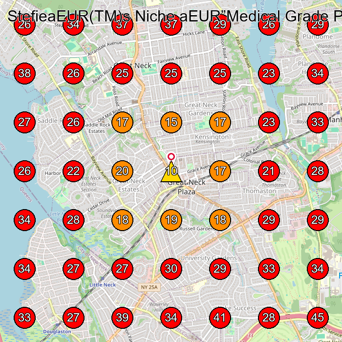 StefieaEUR(TM)s Niche aEUR”Medical Grade Pedicures Manicures and nail restoration GeoGrid visibility map for Nail Salon in Great Neck