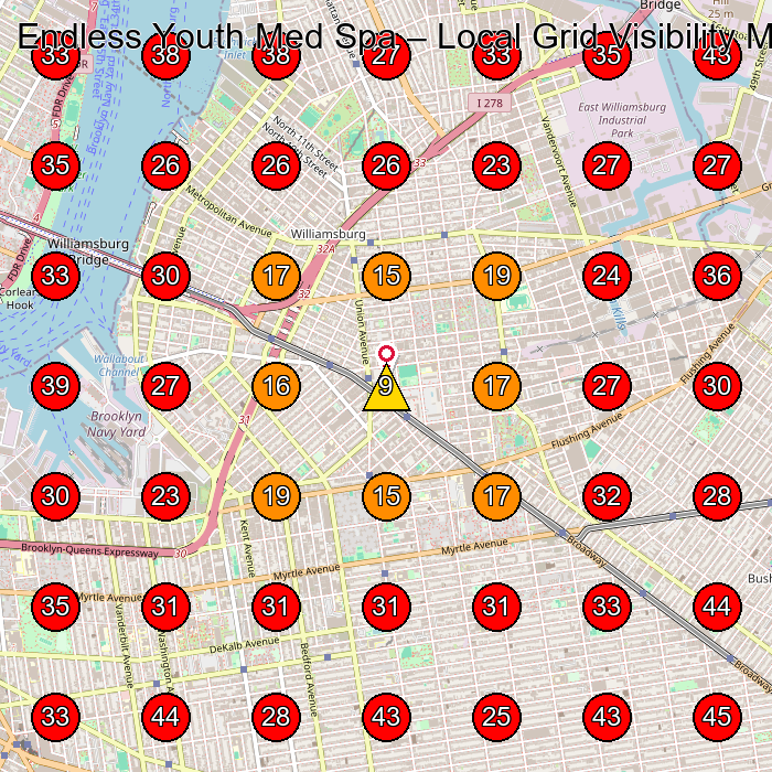 Endless Youth Med Spa GeoGrid visibility map for Medical Spa in Brooklyn