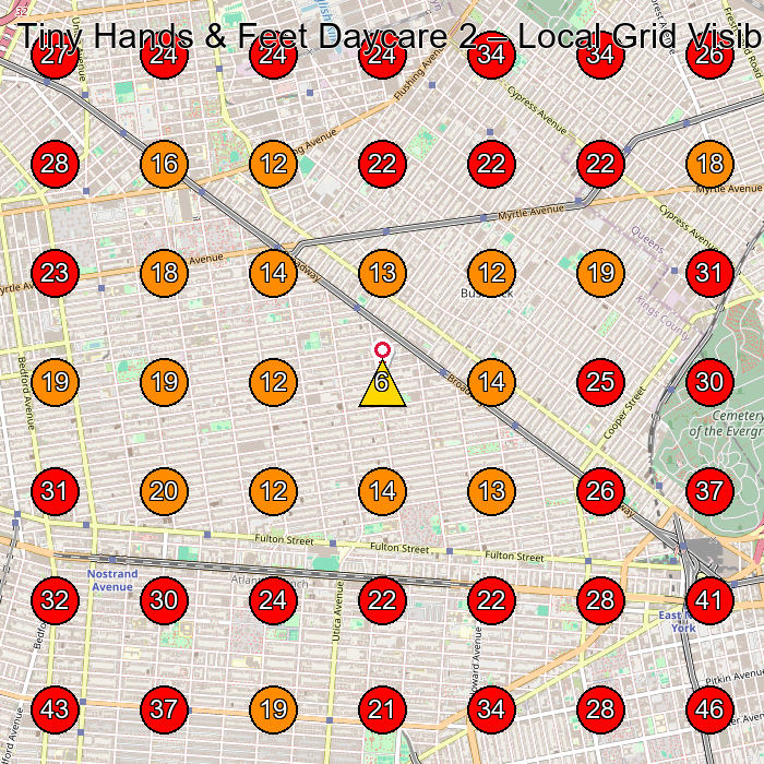 Tiny Hands & Feet Daycare 2 GeoGrid visibility map for Learning Center in Brooklyn
