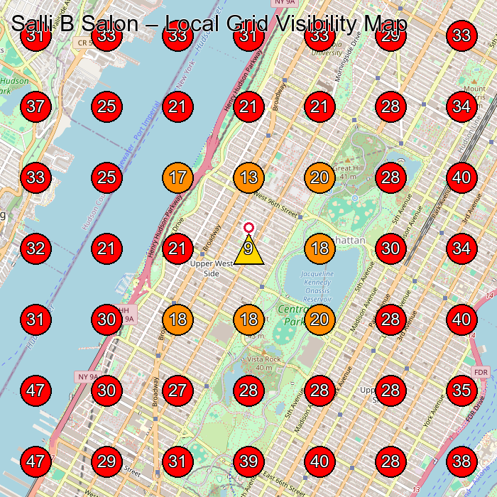 Salli B Salon GeoGrid visibility map for Hair Salon in New York