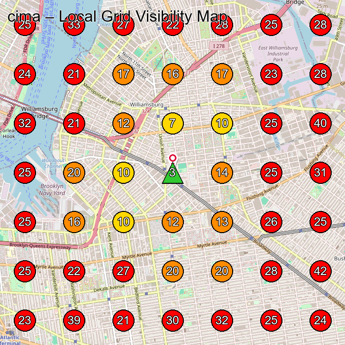 cima GeoGrid visibility map for Facial Spa in Brooklyn