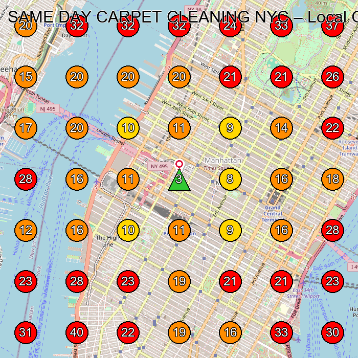SAME DAY CARPET CLEANING NYC GeoGrid visibility map for Computer Hardware Manufacturer in New York