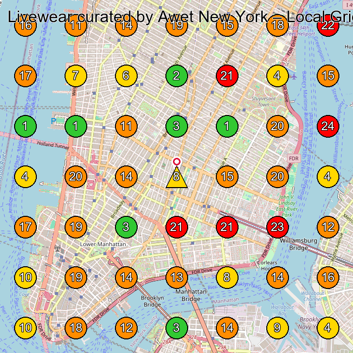 Livewear curated by Awet New York Clothing Store GeoGrid ranking map for New York NY