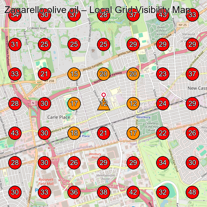Zagarello olive oil GeoGrid visibility map for Dryer Vent Cleaning Service in Westbury
