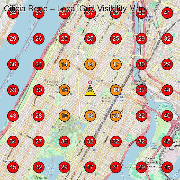 Cilicia Rene GeoGrid visibility map for Hair Salon in New York