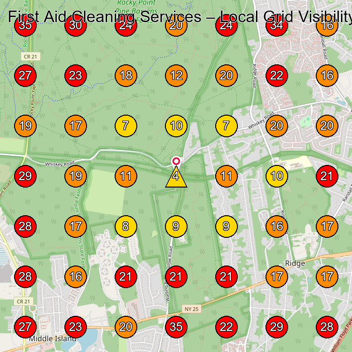 First Aid Cleaning Services GeoGrid visibility map for Health Insurance Agency in None