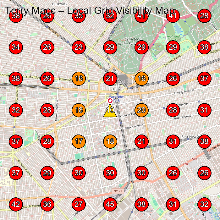 Terry Macc GeoGrid visibility map for Women'S Clothing Store in Brooklyn