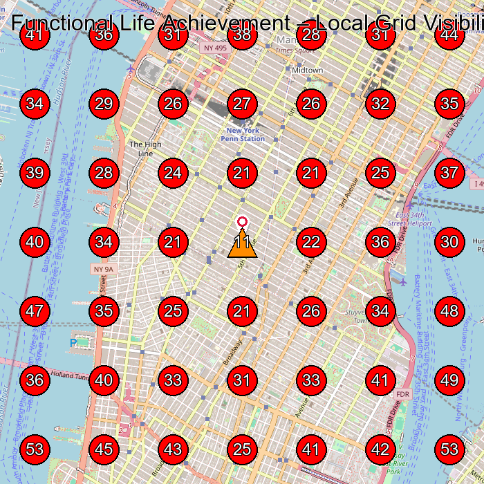 Functional Life Achievement GeoGrid visibility map for Non-Profit Organization in New York