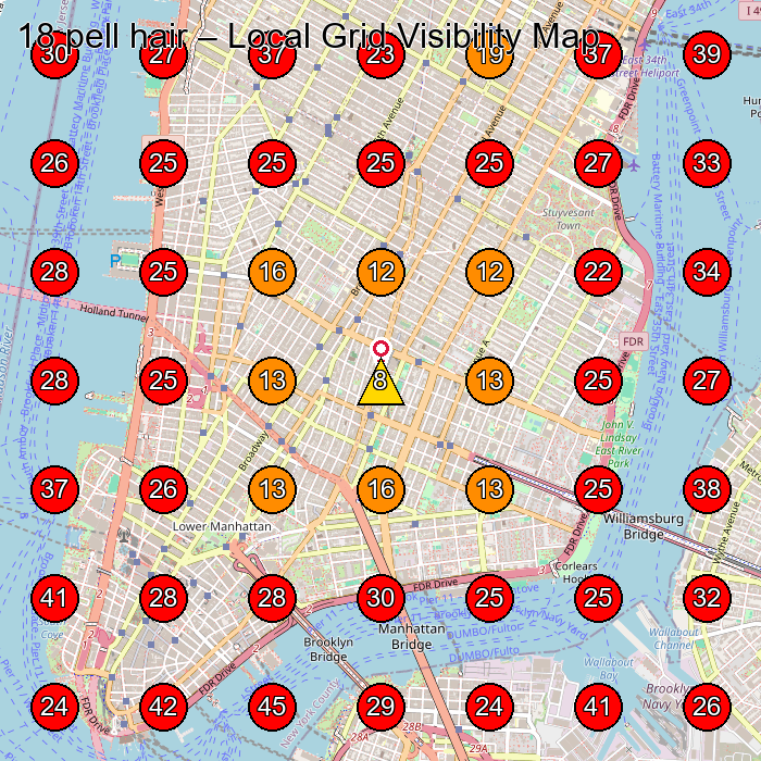 18 pell hair GeoGrid visibility map for Hair Salon in New York