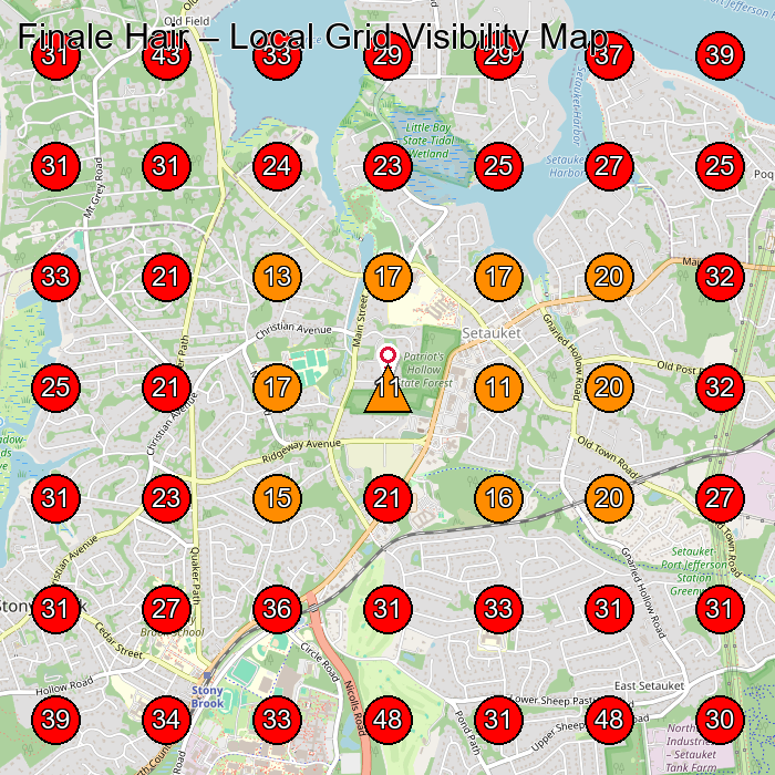Finale Hair GeoGrid visibility map for Hair Salon in Setauket- East Setauket