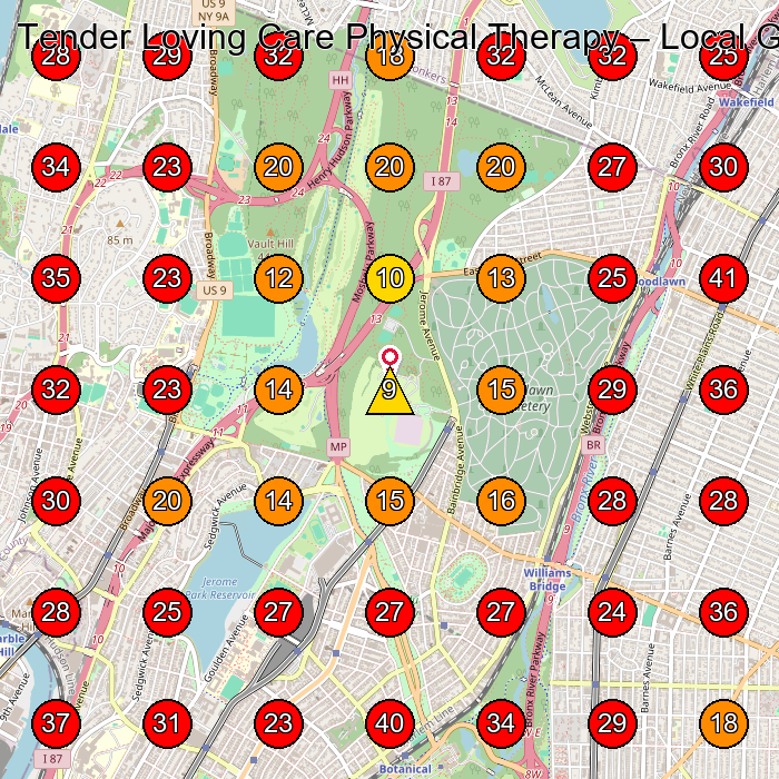 Tender Loving Care Physical Therapy GeoGrid visibility map for Chiropractor in Bronx
