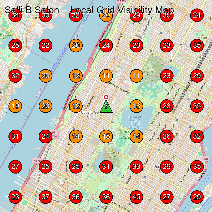 Salli B Salon GeoGrid visibility map for Hair Salon in New York
