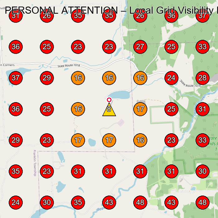 PERSONAL ATTENTION GeoGrid visibility map for Servicio De Limpieza Doma(C)Stica in None