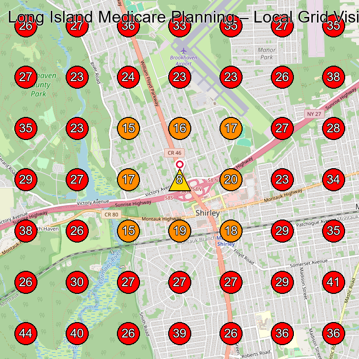 Long Island Medicare Planning GeoGrid visibility map for Health Insurance Agency in None