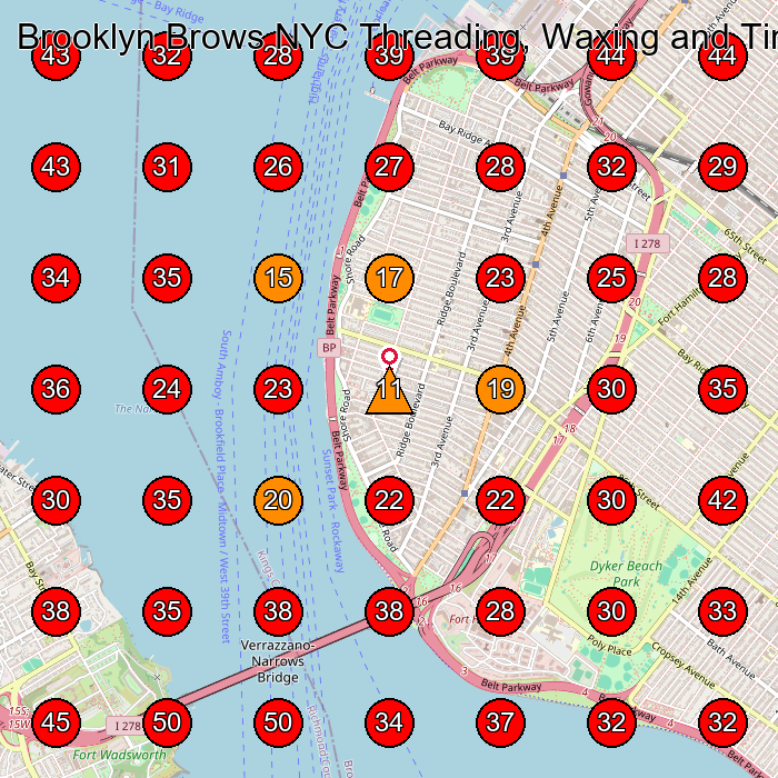 Brooklyn Brows NYC Threading, Waxing and Tinting Salon GeoGrid visibility map for Beauty Salon in Brooklyn