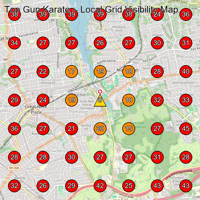 Top Gun Karate GeoGrid visibility map for Martial Arts School in Manhasset