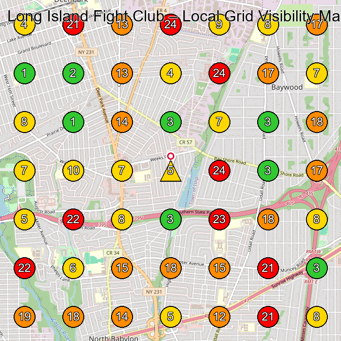 Long Island Fight Club Martial Arts School GeoGrid ranking map for Deer Park NY