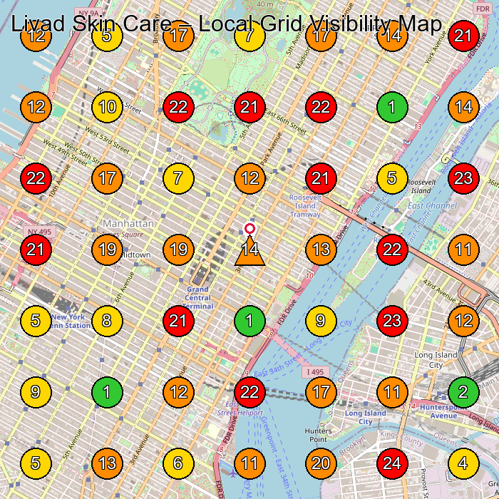 Livad Skin Care Beauty Supply Store GeoGrid ranking map for New York NY
