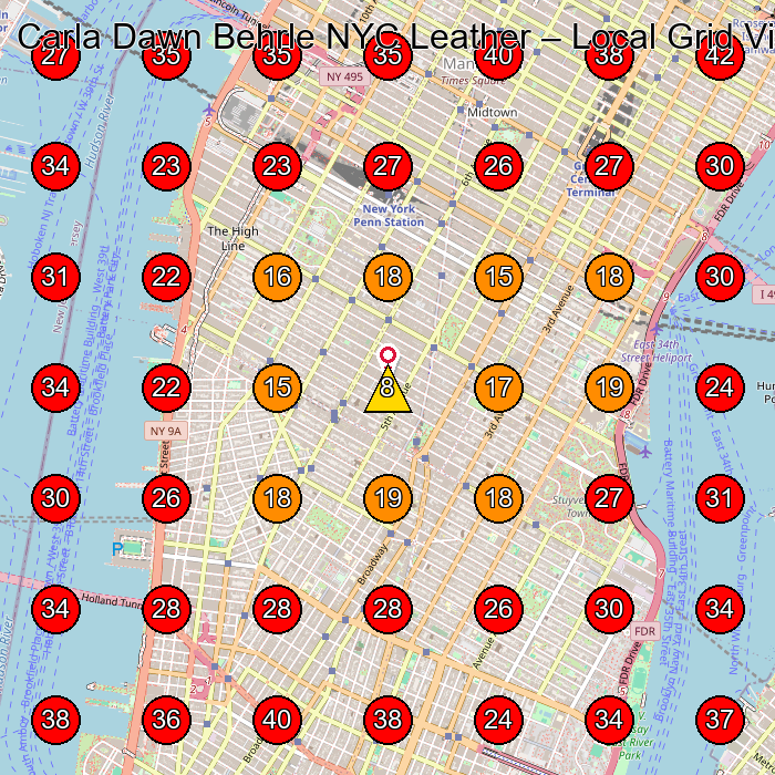 Carla Dawn Behrle NYC Leather GeoGrid visibility map for Fashion Designer in Brooklyn