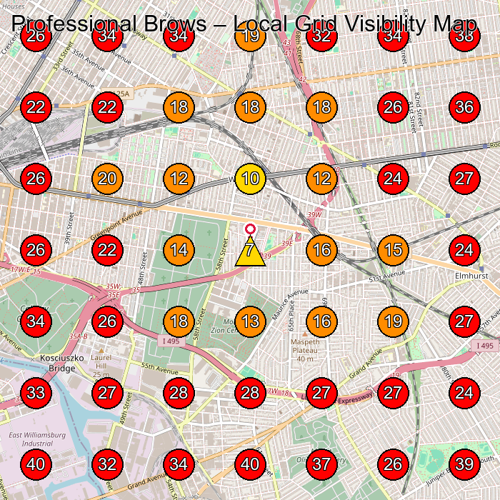 Professional Brows GeoGrid visibility map for Beauty Salon in Queens