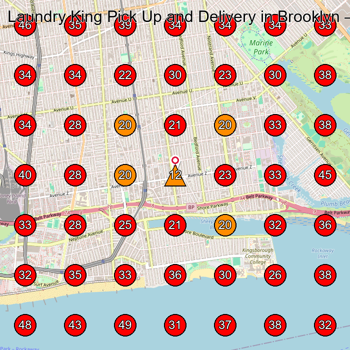 Laundry King Pick Up and Delivery in Brooklyn GeoGrid visibility map for Laundry Service in Brooklyn