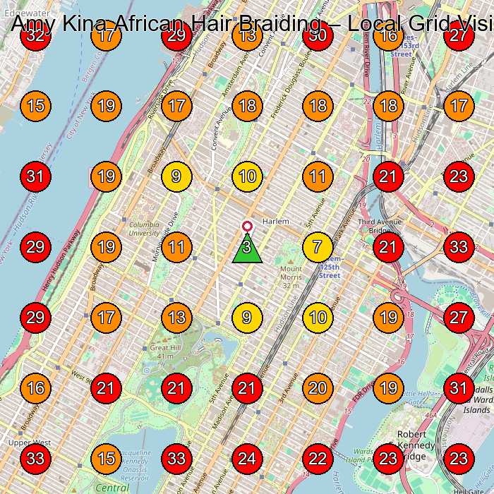 Amy Kina African Hair Braiding GeoGrid visibility map for Hair Salon in New York