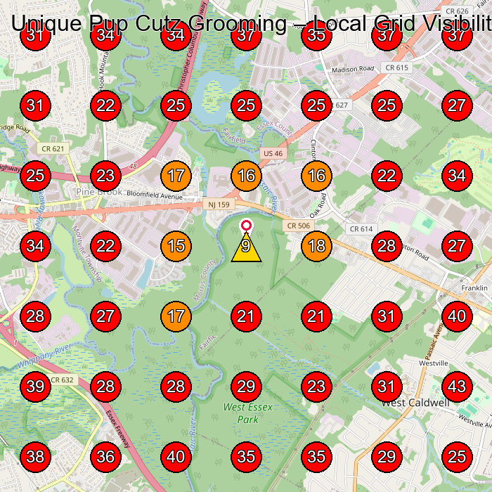 Unique Pup Cutz Grooming GeoGrid visibility map for Pet Groomer in Caldwell