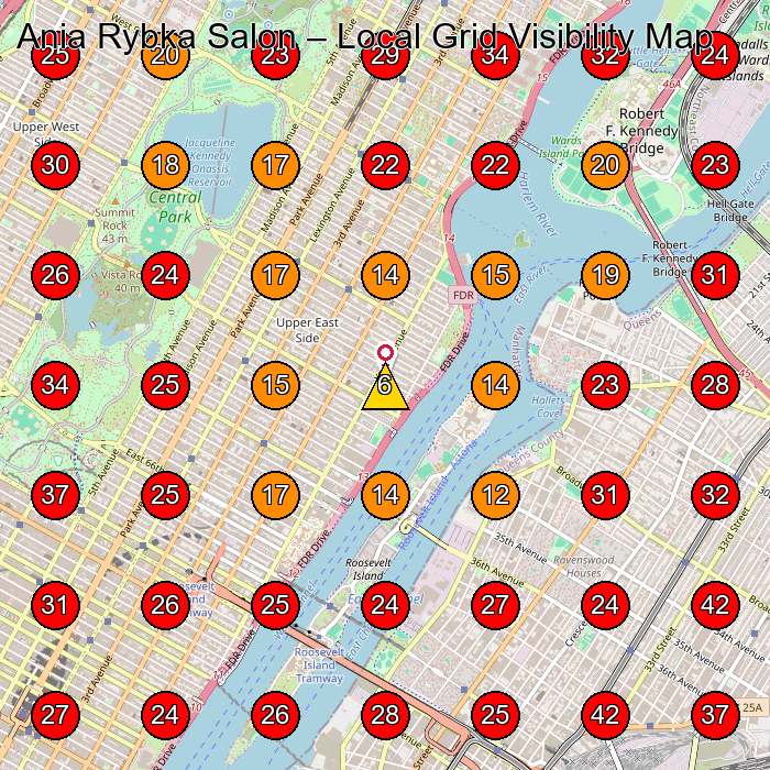 Ania Rybka Salon GeoGrid visibility map for Hair Salon in New York