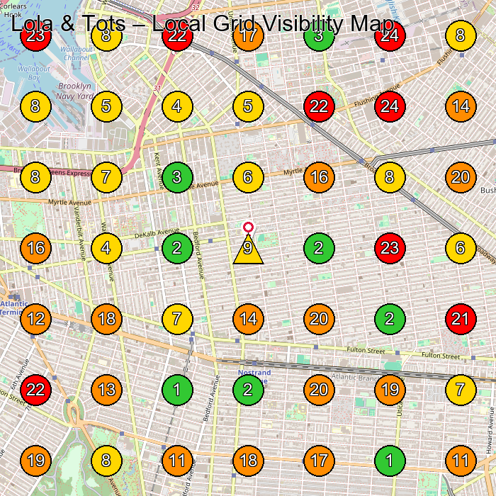 Lola & Tots Coworking Space GeoGrid ranking map for Brooklyn NY