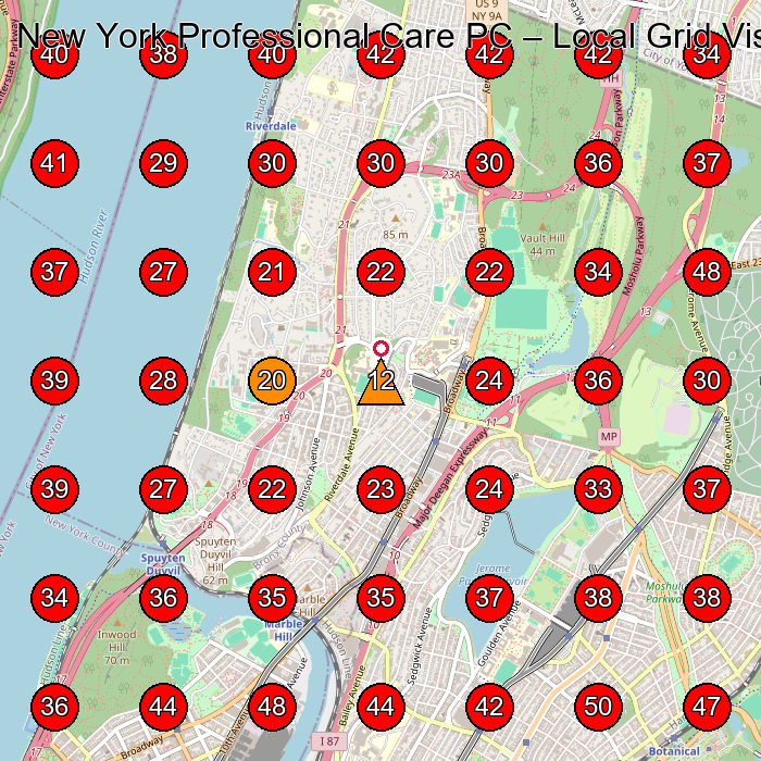 New York Professional Care PC GeoGrid visibility map for Chiropractor in Bronx