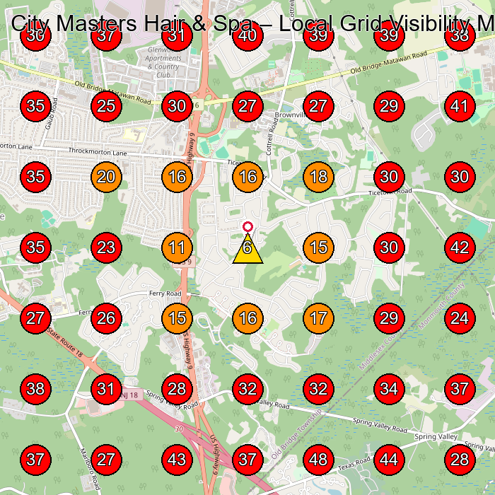 City Masters Hair & Spa GeoGrid visibility map for Barber Shop in Milltown