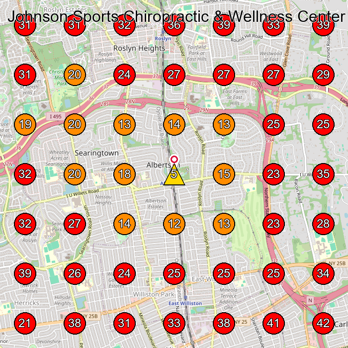 Johnson Sports Chiropractic & Wellness Center GeoGrid visibility map for Physical Therapist in Roslyn Heights