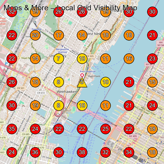 Mops & More GeoGrid visibility map for House Cleaning Service in None
