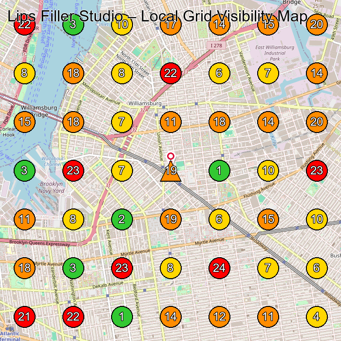 Lips Filler Studio Medical Spa GeoGrid ranking map for Brooklyn NY