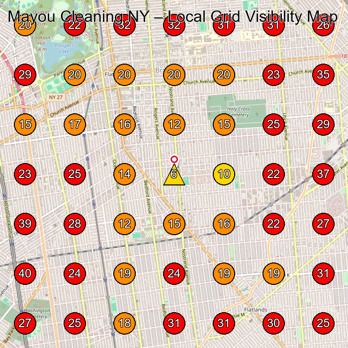 Mayou Cleaning NY GeoGrid visibility map for House Cleaning Service in None