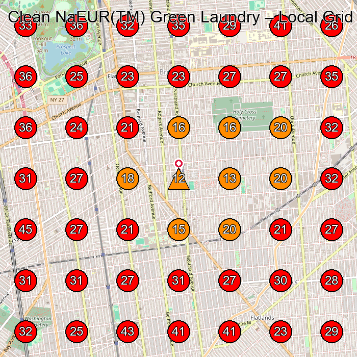 Clean NaEUR(TM) Green Laundry GeoGrid visibility map for Laundry Service in Brooklyn