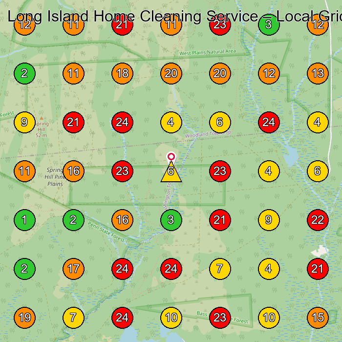 Long Island Home Cleaning Service House Cleaning Service GeoGrid ranking map for None