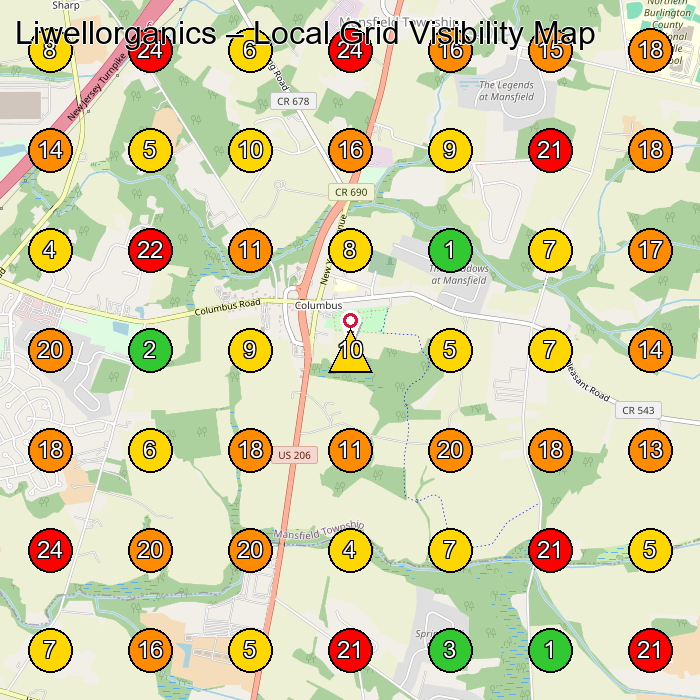 Liwellorganics Tienda De Ropa Para Beba(C)S GeoGrid ranking map for None