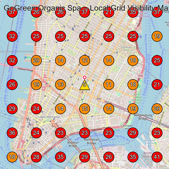GoGreen Organic Spa GeoGrid visibility map for Day Spa in Brooklyn
