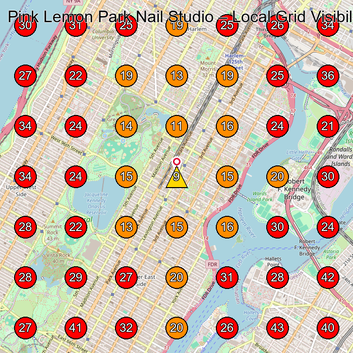 Pink Lemon Park Nail Studio GeoGrid visibility map for Nail Salon in New York