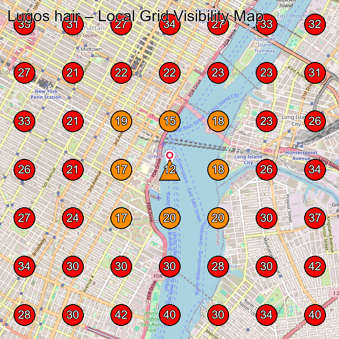 Lugos hair GeoGrid visibility map for Hair Salon in New York