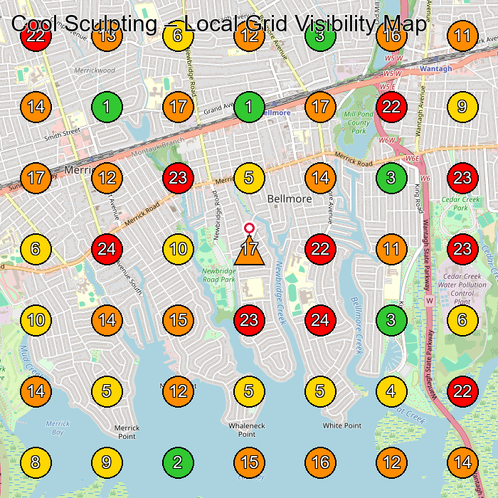 Cool Sculpting Weight Loss Service GeoGrid ranking map for Bellmore NY