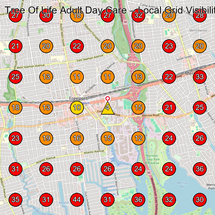 Tree Of Life Adult Day Care GeoGrid visibility map for Adult Day Care Center in Farmingdale