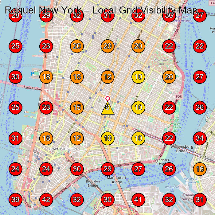 Raquel New York GeoGrid visibility map for Facial Spa in New York