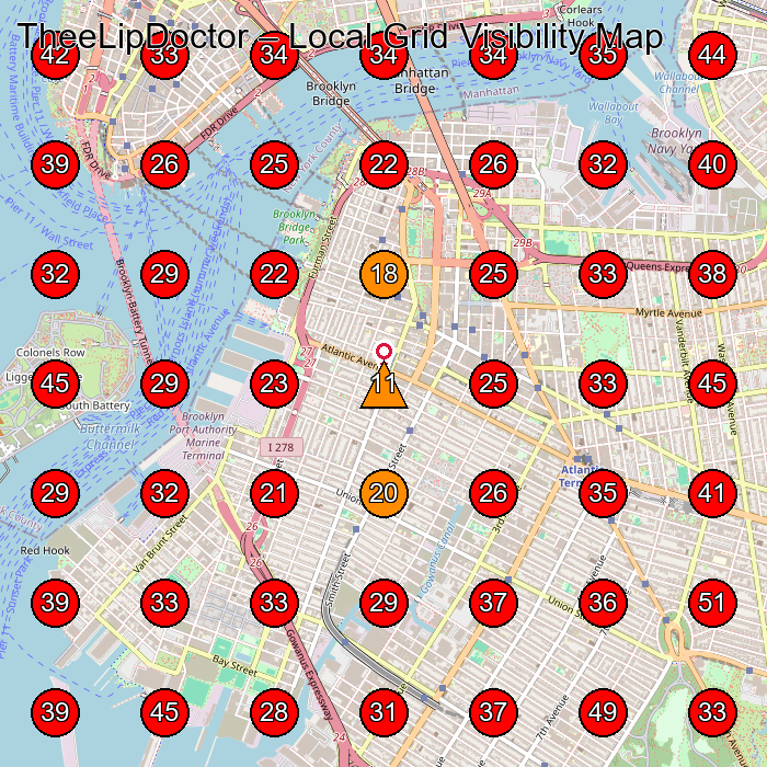 TheeLipDoctor GeoGrid visibility map for Medical Spa in Brooklyn