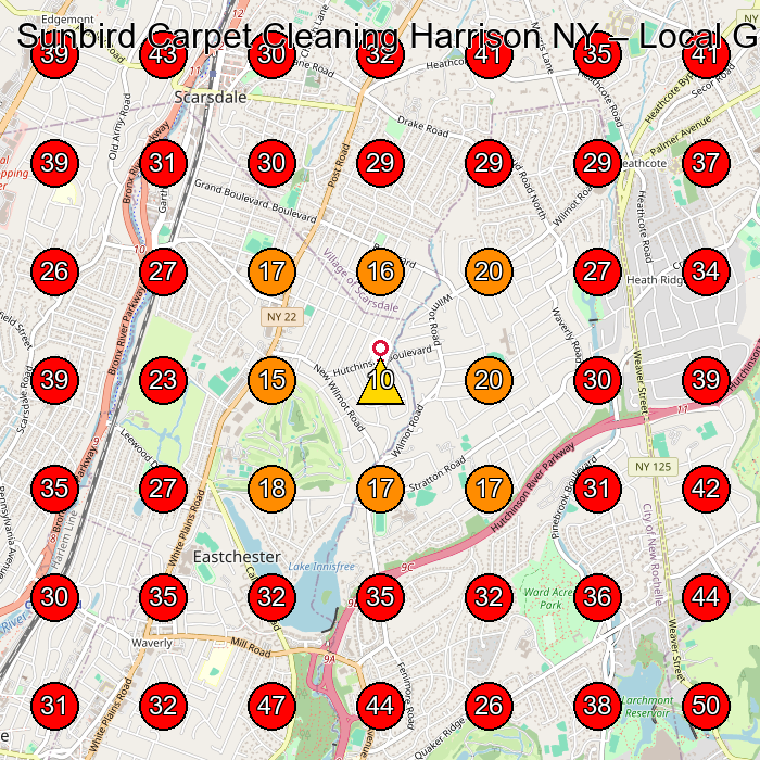 Sunbird Carpet Cleaning Harrison NY GeoGrid visibility map for Carpet Cleaning Service in None